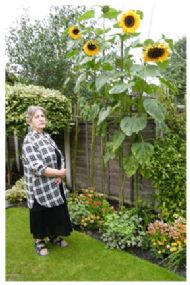 Doreen & Sunflowers